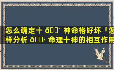 怎么确定十 🌴 神命格好坏「怎样分析 🌷 命理十神的相互作用」